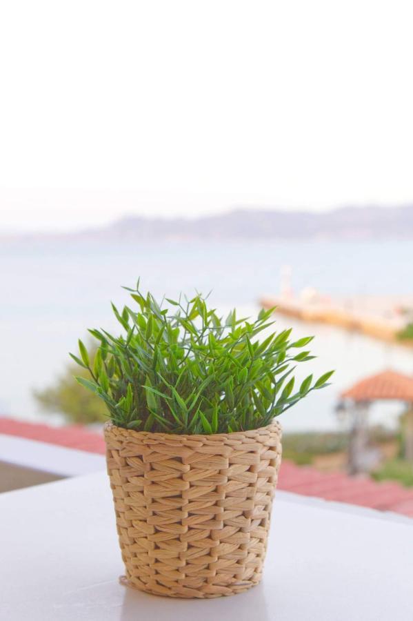 Saronic View Apartamento Skála Exterior foto